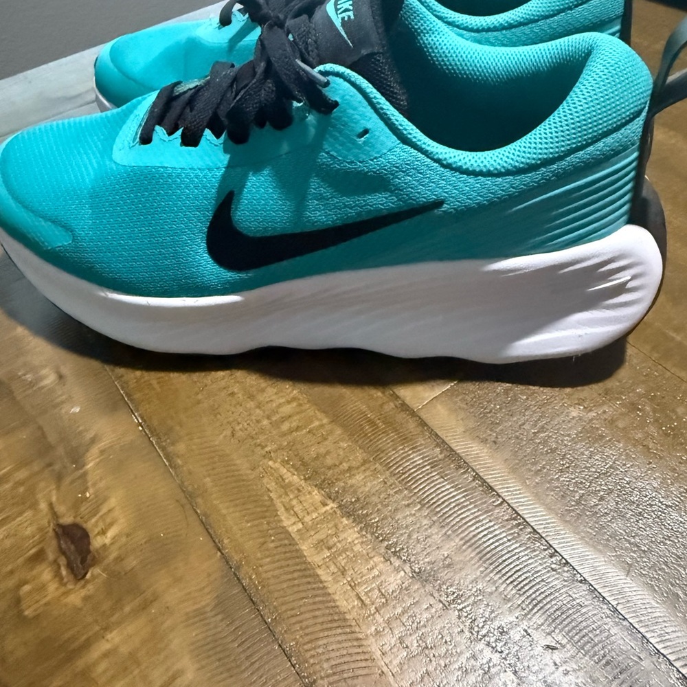Nike Men’s Promina Sneakers in Dusty Cactus color scheme.